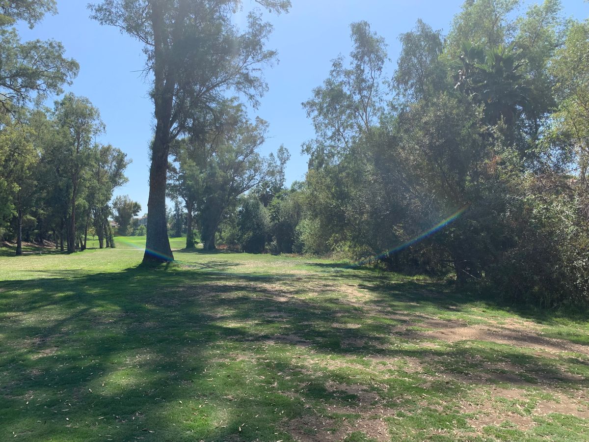 Alpha Hole 12 Mandatory Right