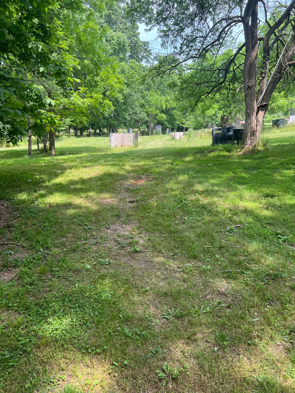 Hole 14 short tee position, dog leg right with elevation.