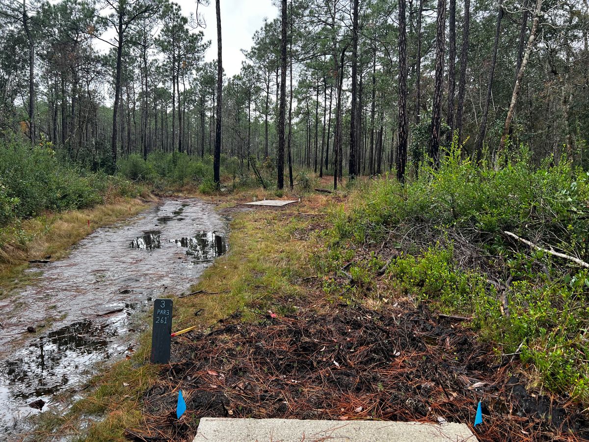 Hole 2 - Blue