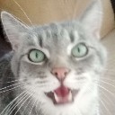 User avatar image