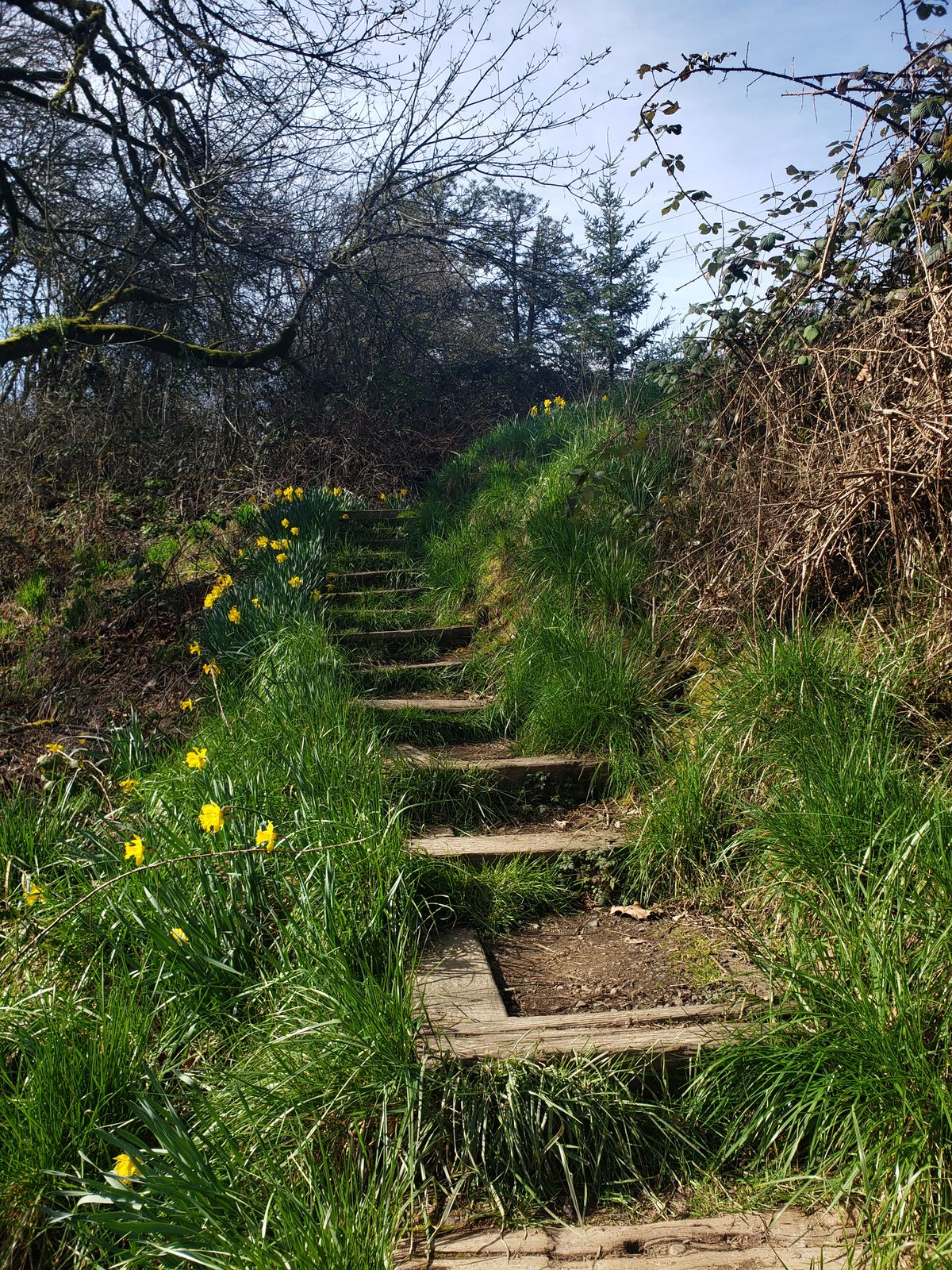 Stairs leading to 4s teepad