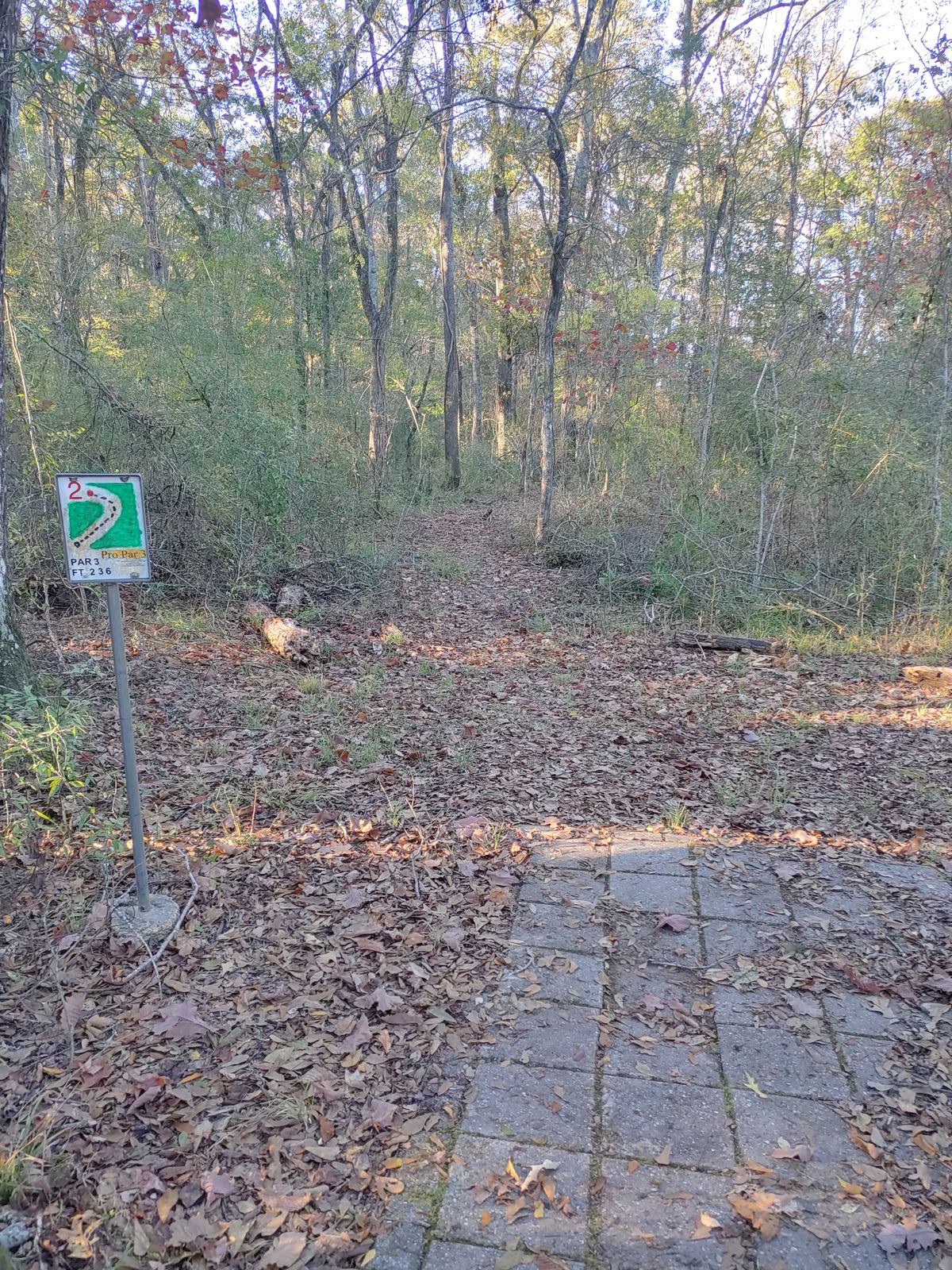 Hole 2 Pro