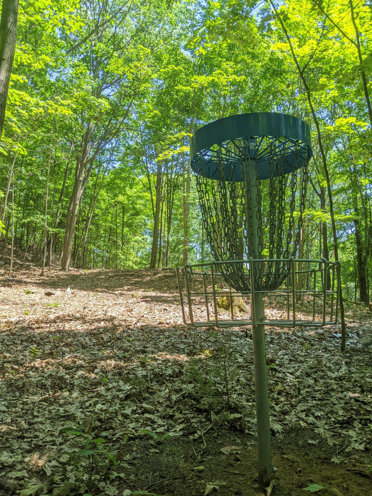 18 Basket Looking back at inside line