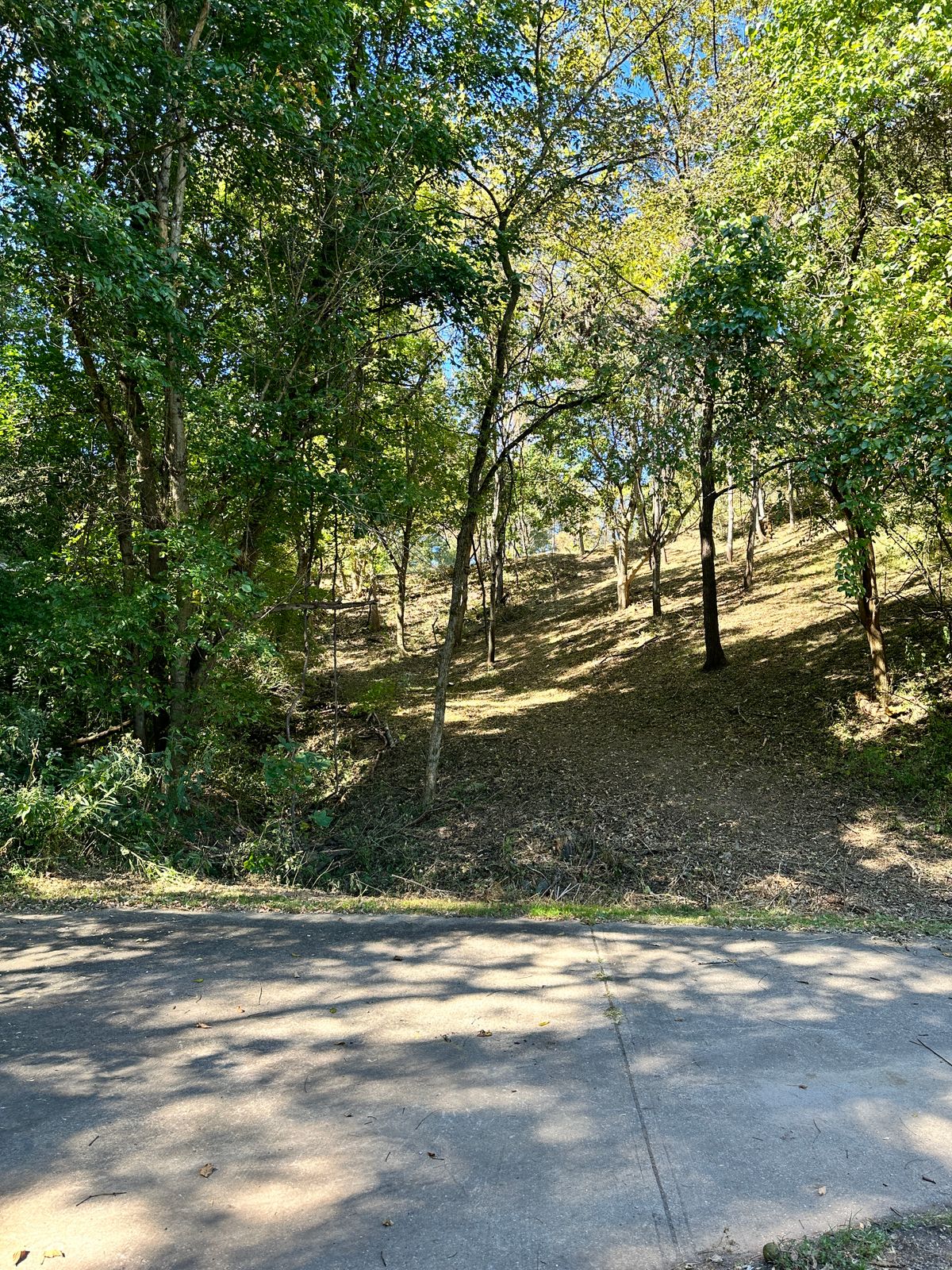 Hole 5 from tee