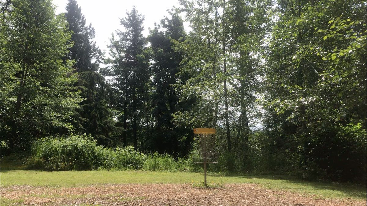 Hole #3 with very nice mulched green
