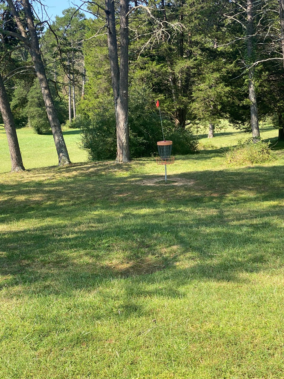 This is the farther basket option for hole 1