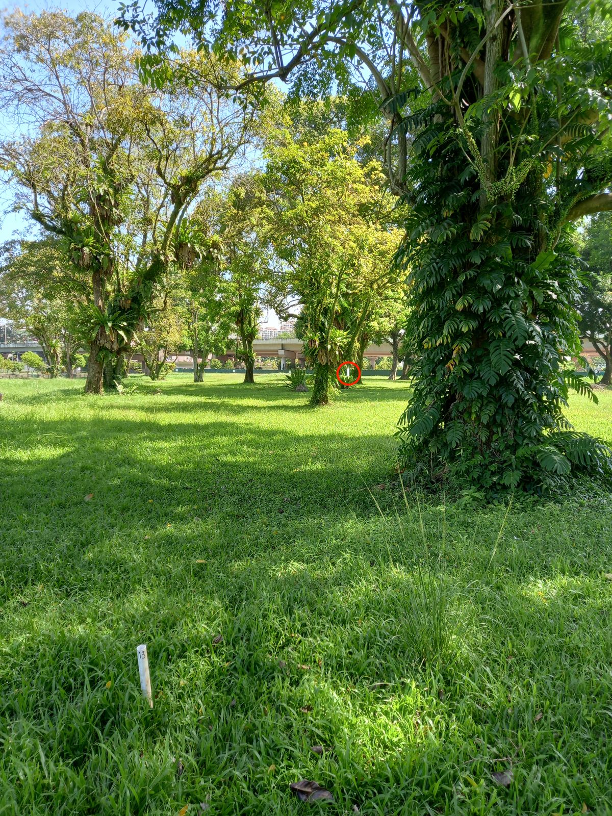 Hole 6