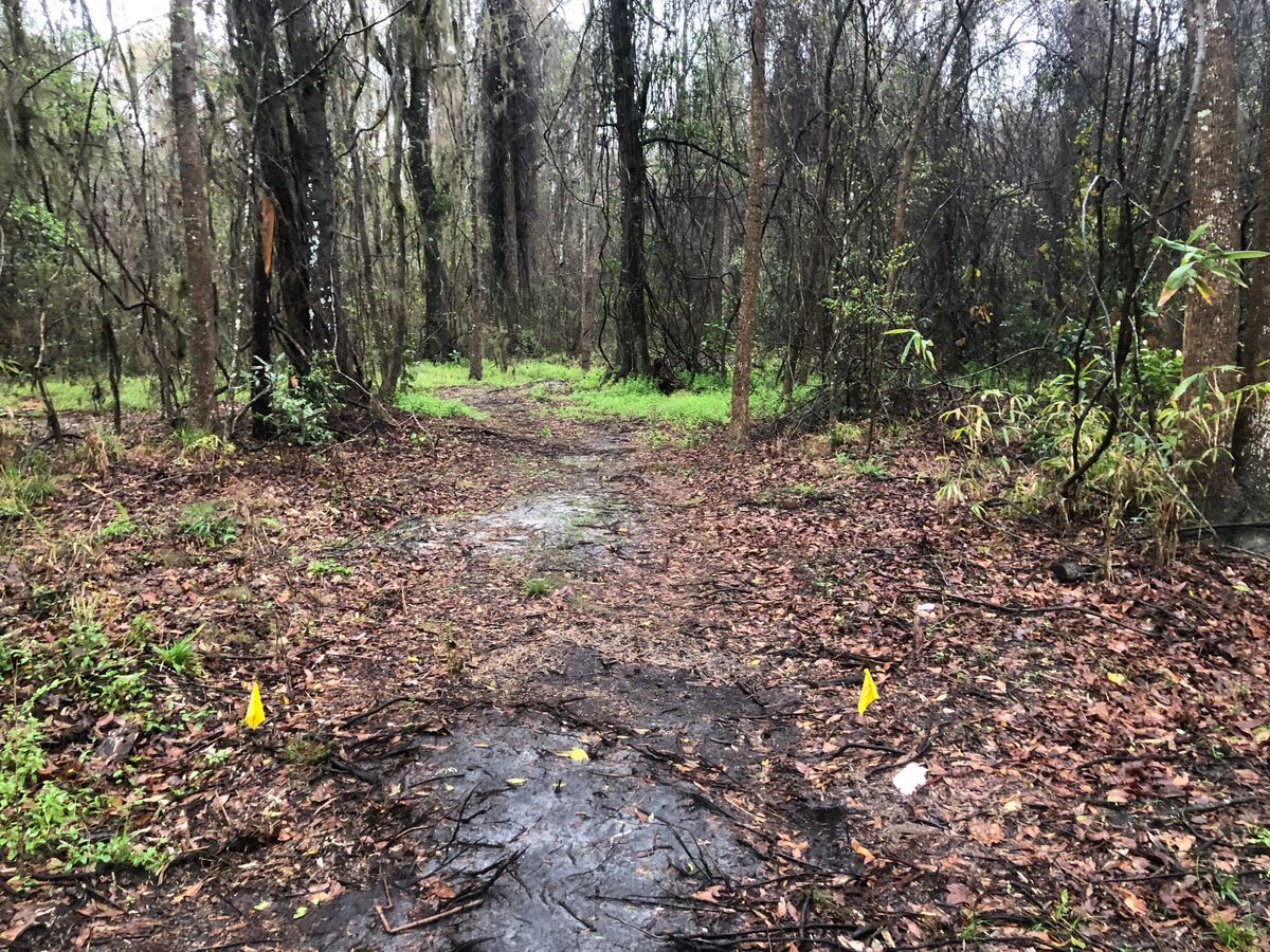 Hole 2 white tee first dogleg then back to the left around 280’