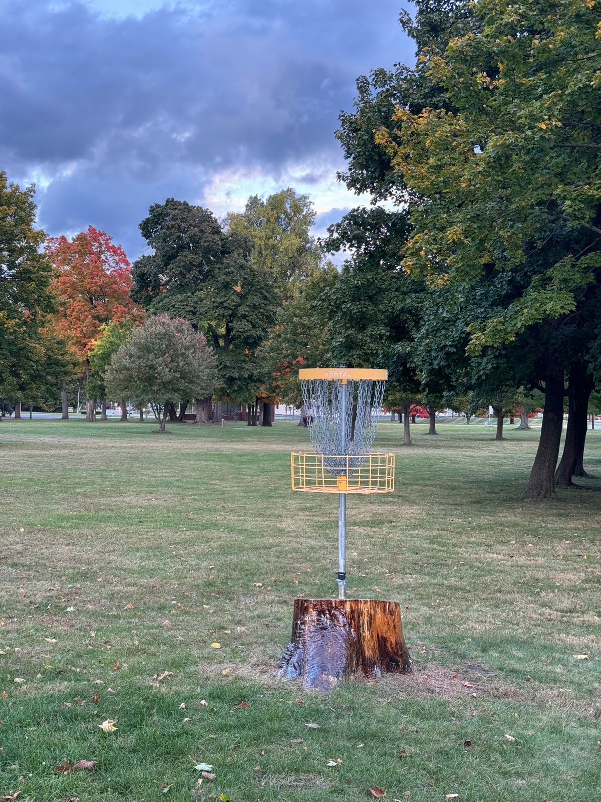 8 Basket (looking down White fairway)
