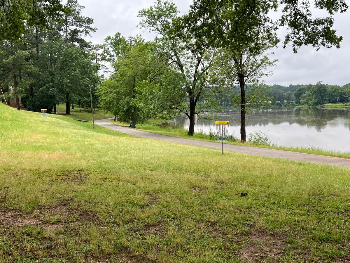 Hole 13 basket