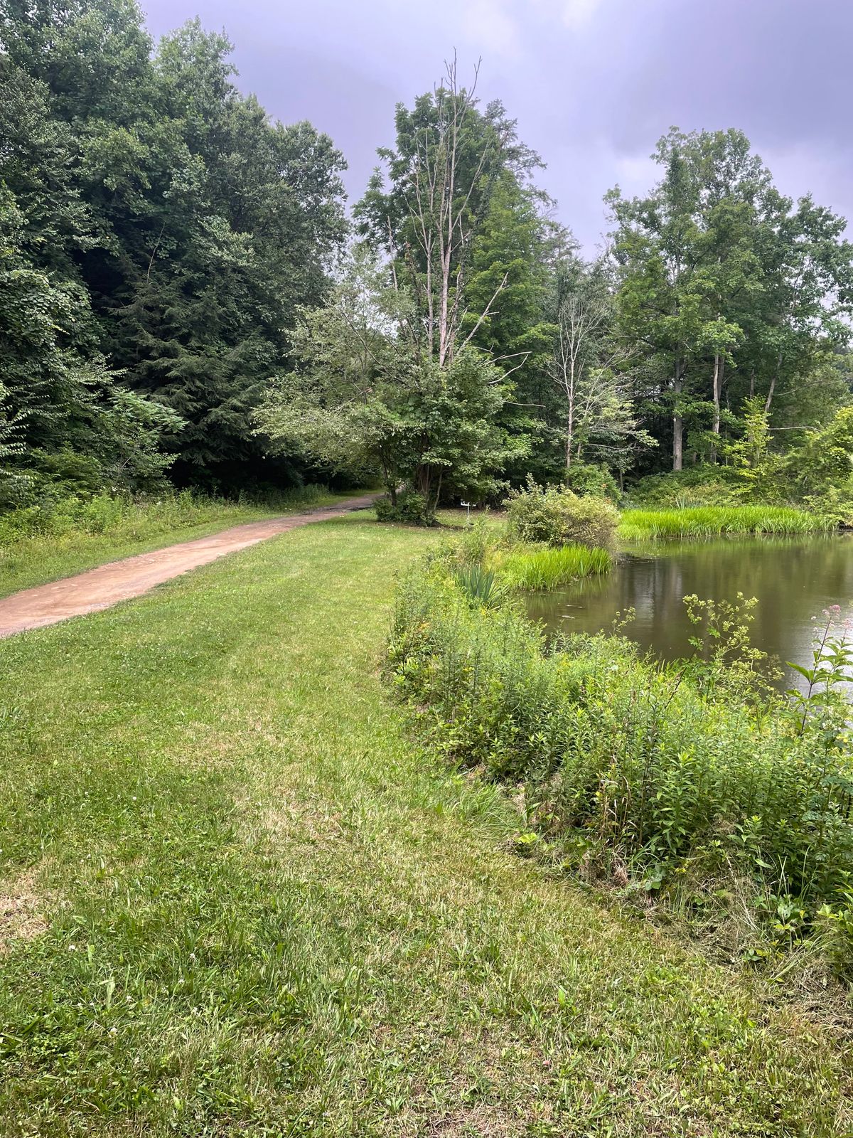 Hole 17 short tee.