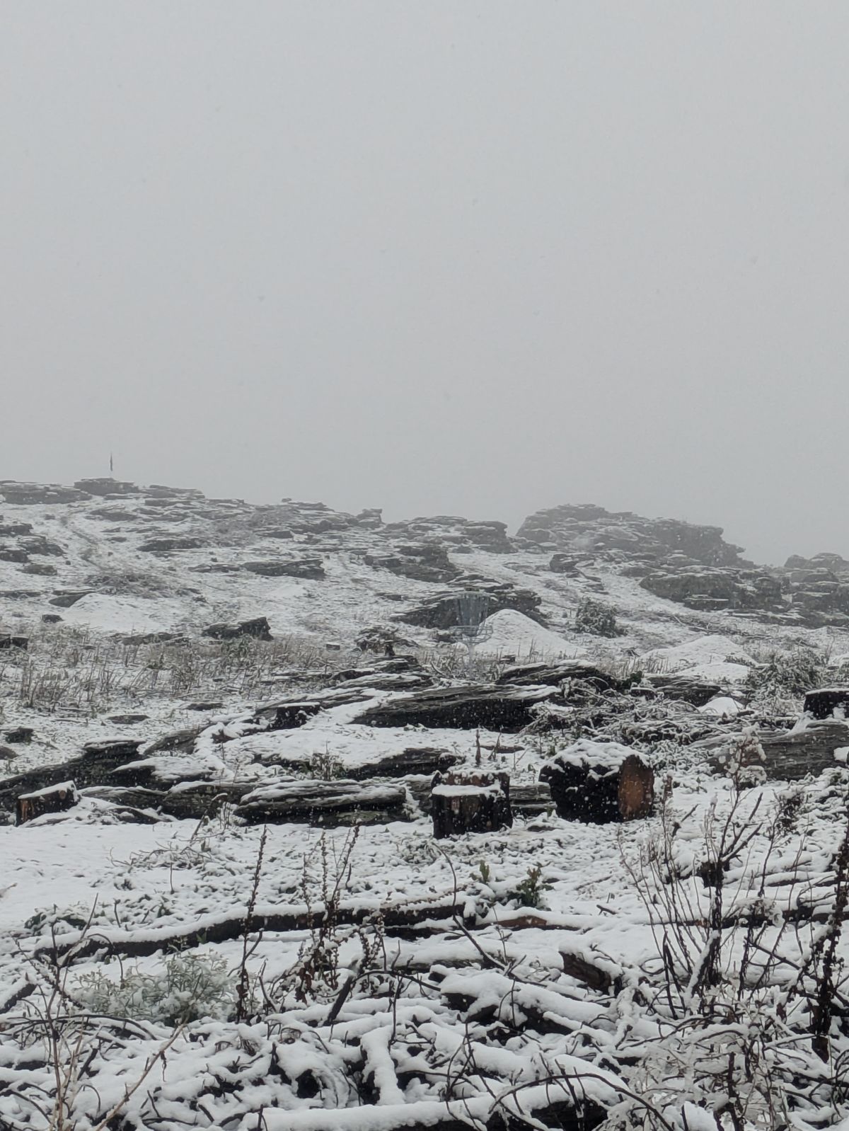 Labour Weekend Snow '24