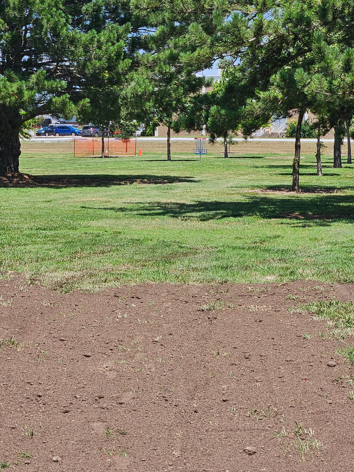 Hole 6 - Tee