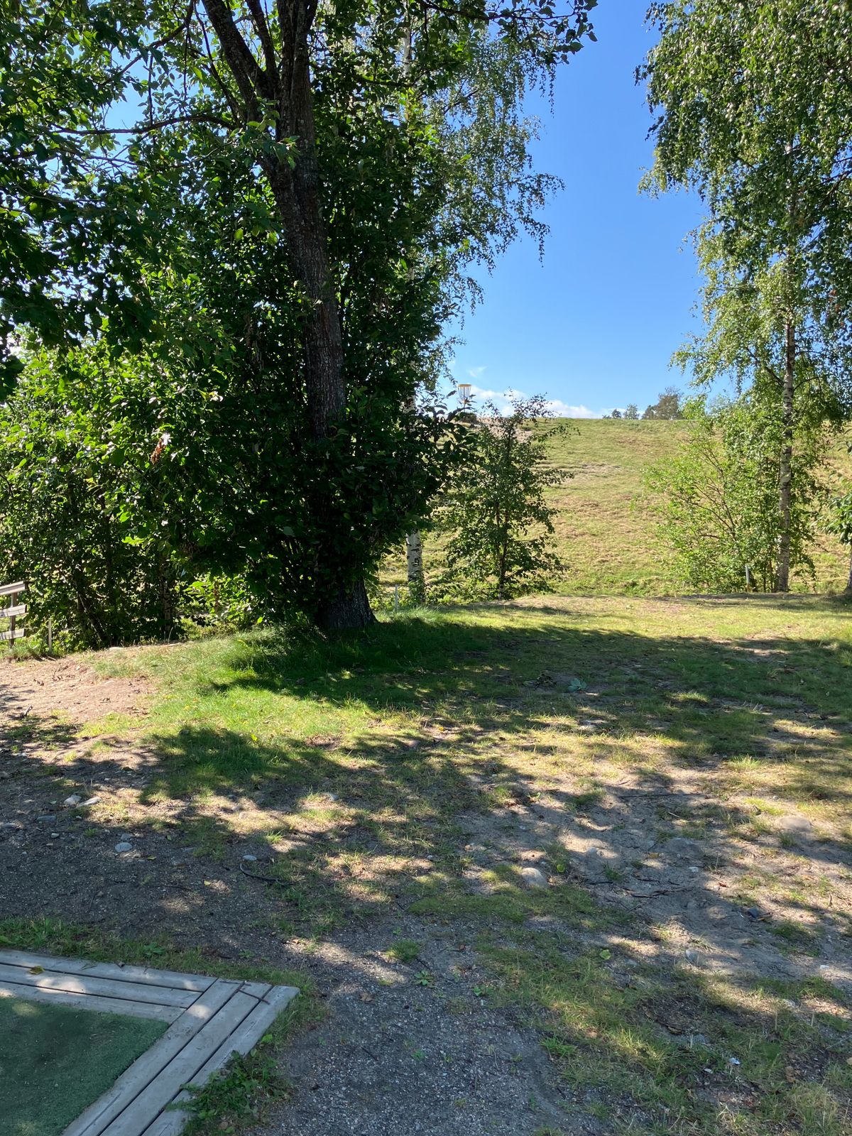 Hål, 6 Grön Tee