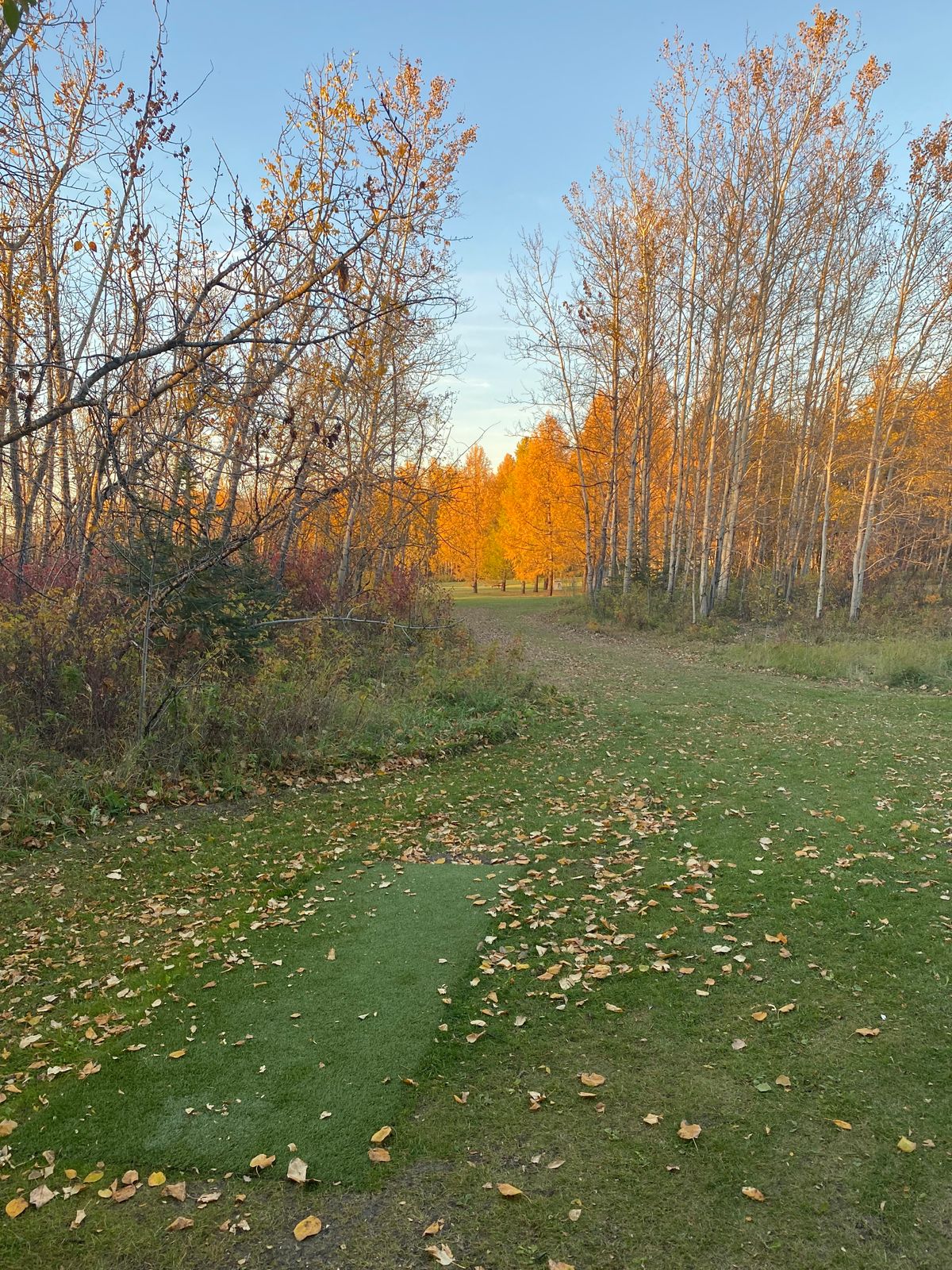 Hole 16 Tee Shot