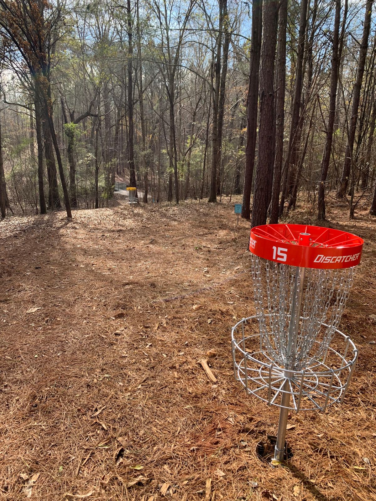 Hole 15 green area with bridge in background