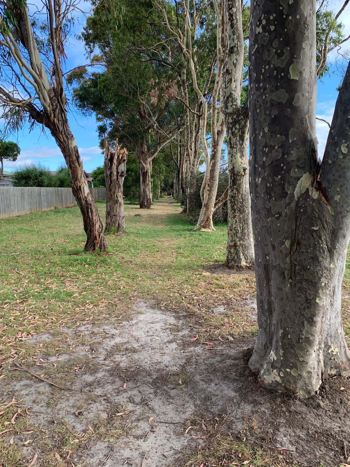 Back 9 Tee 6 (mando basically over original tee pad for hole 6)