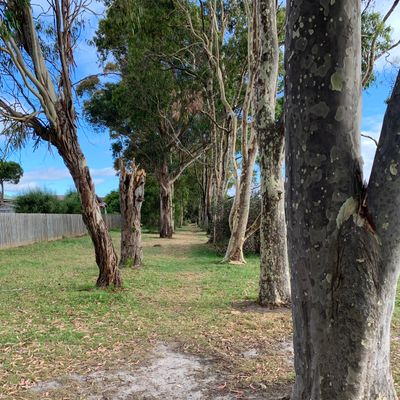 Back 9 Tee 6 (mando basically over original tee pad for hole 6)