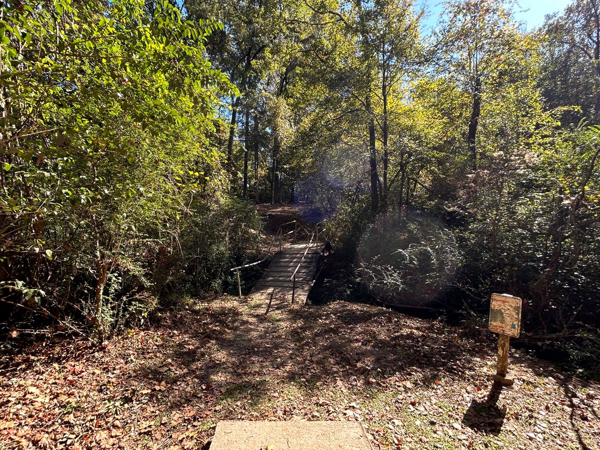 Hole 16 Fairway