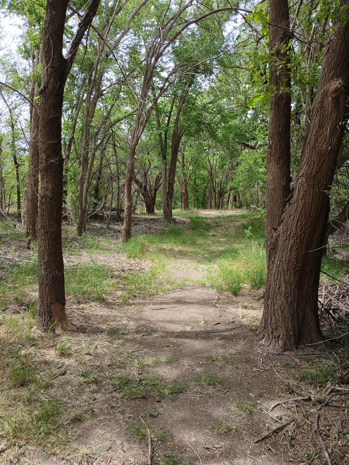 Hole 5 fairway