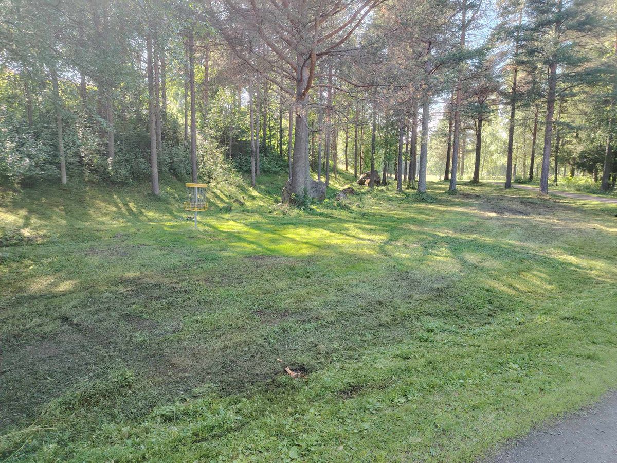 Hole 6