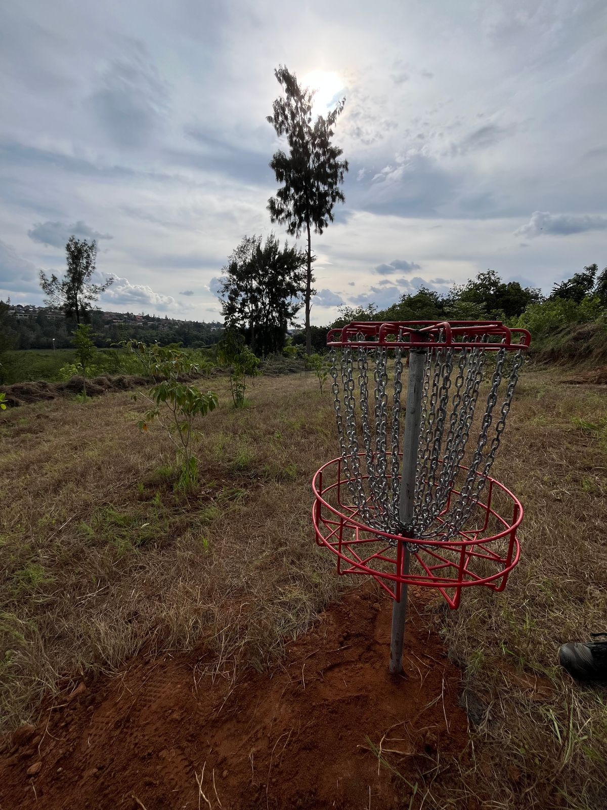 Hole 2 basket