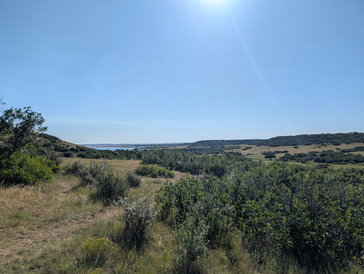 Great views while you look for your disc 😃