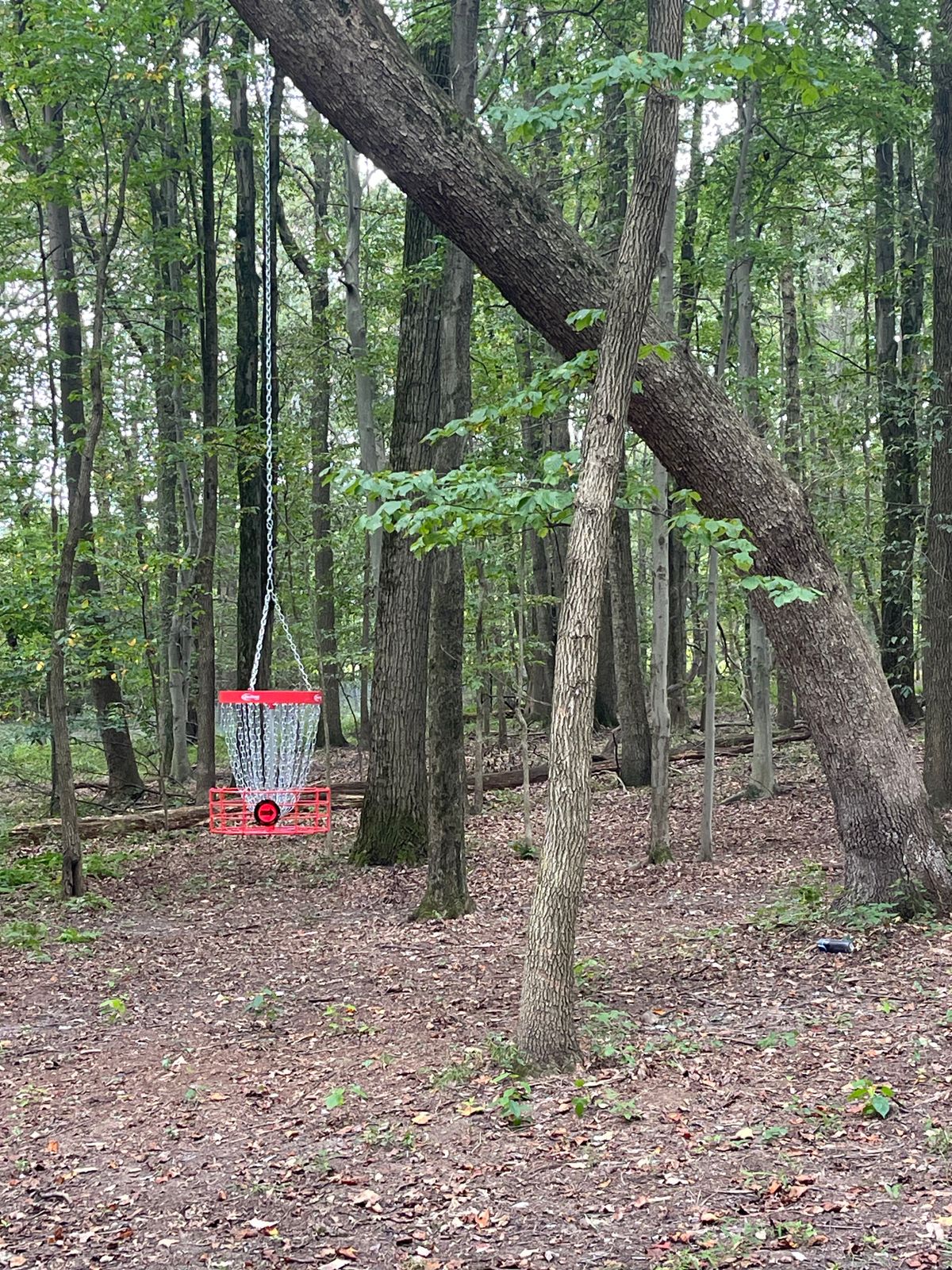 Hole 8
