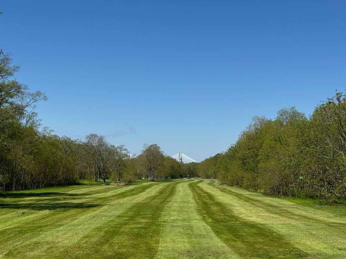 Freshly mowed hole 4 fairway
