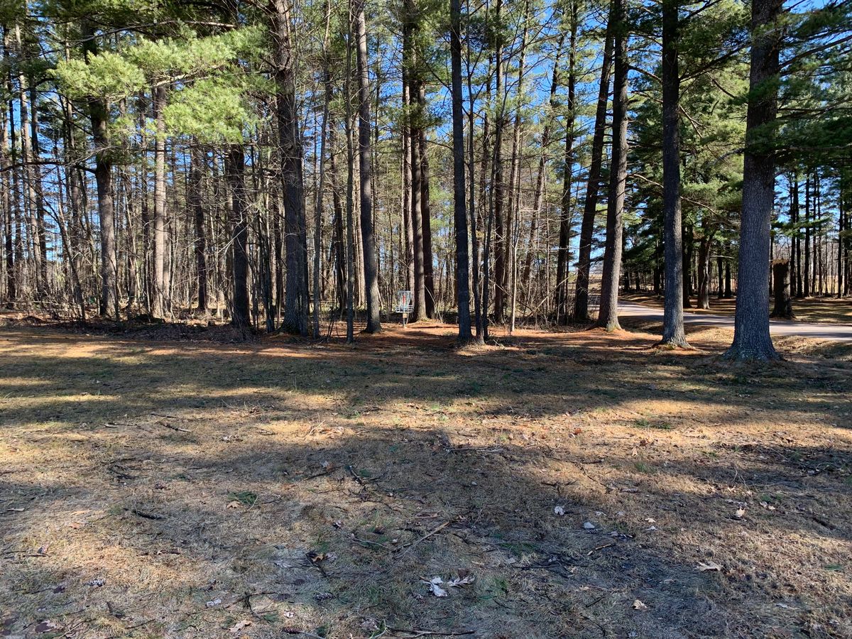 Hole 12 approach