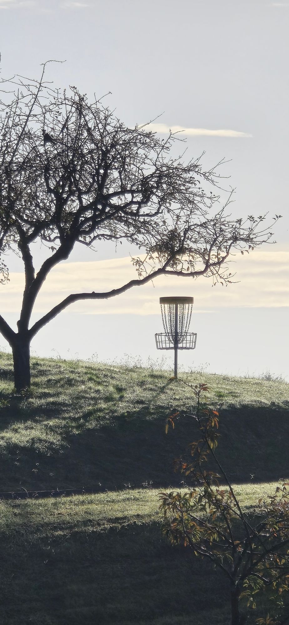 Basket hole 18