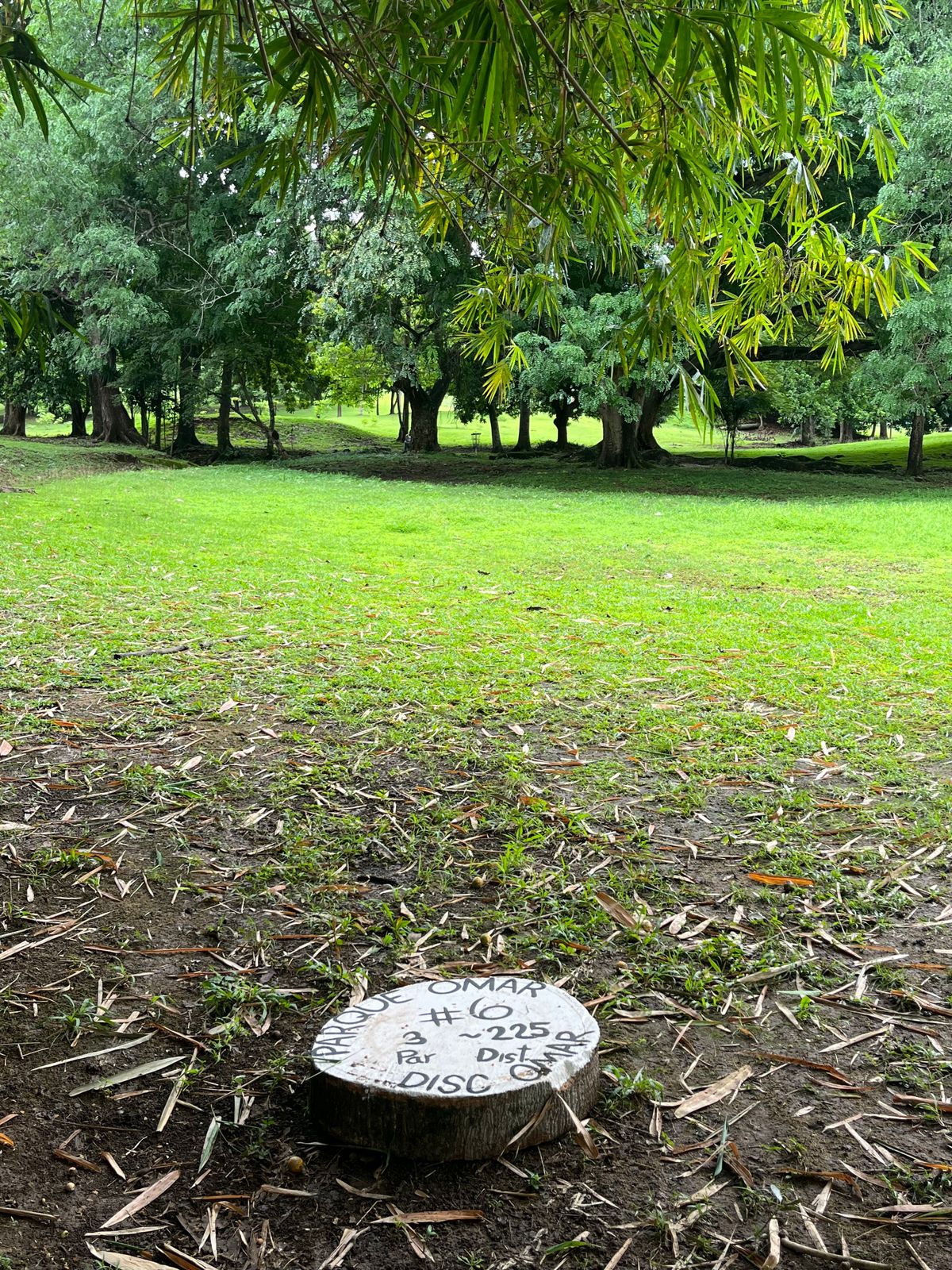 Hole 6