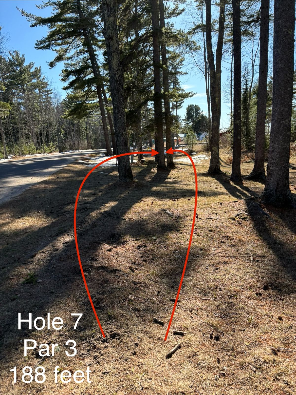Hole 7 Shorts