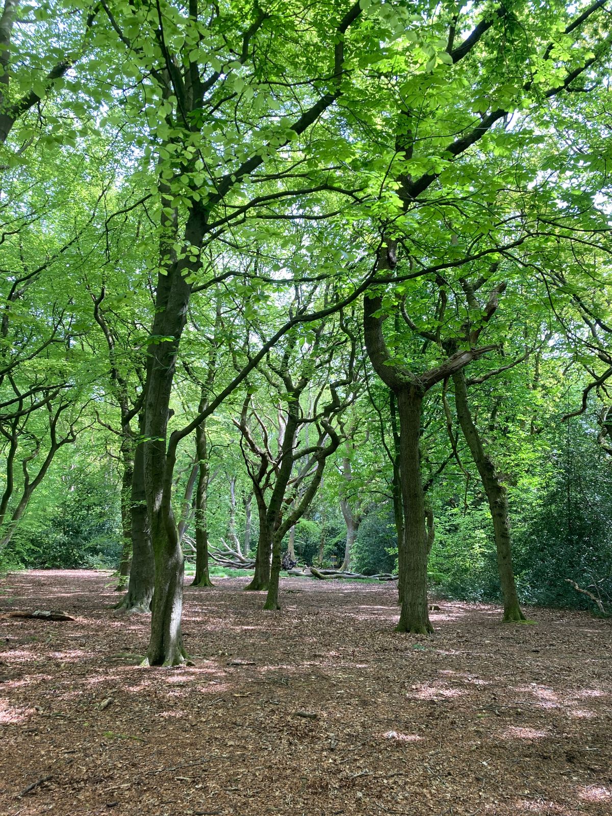 Lilford Park DGC