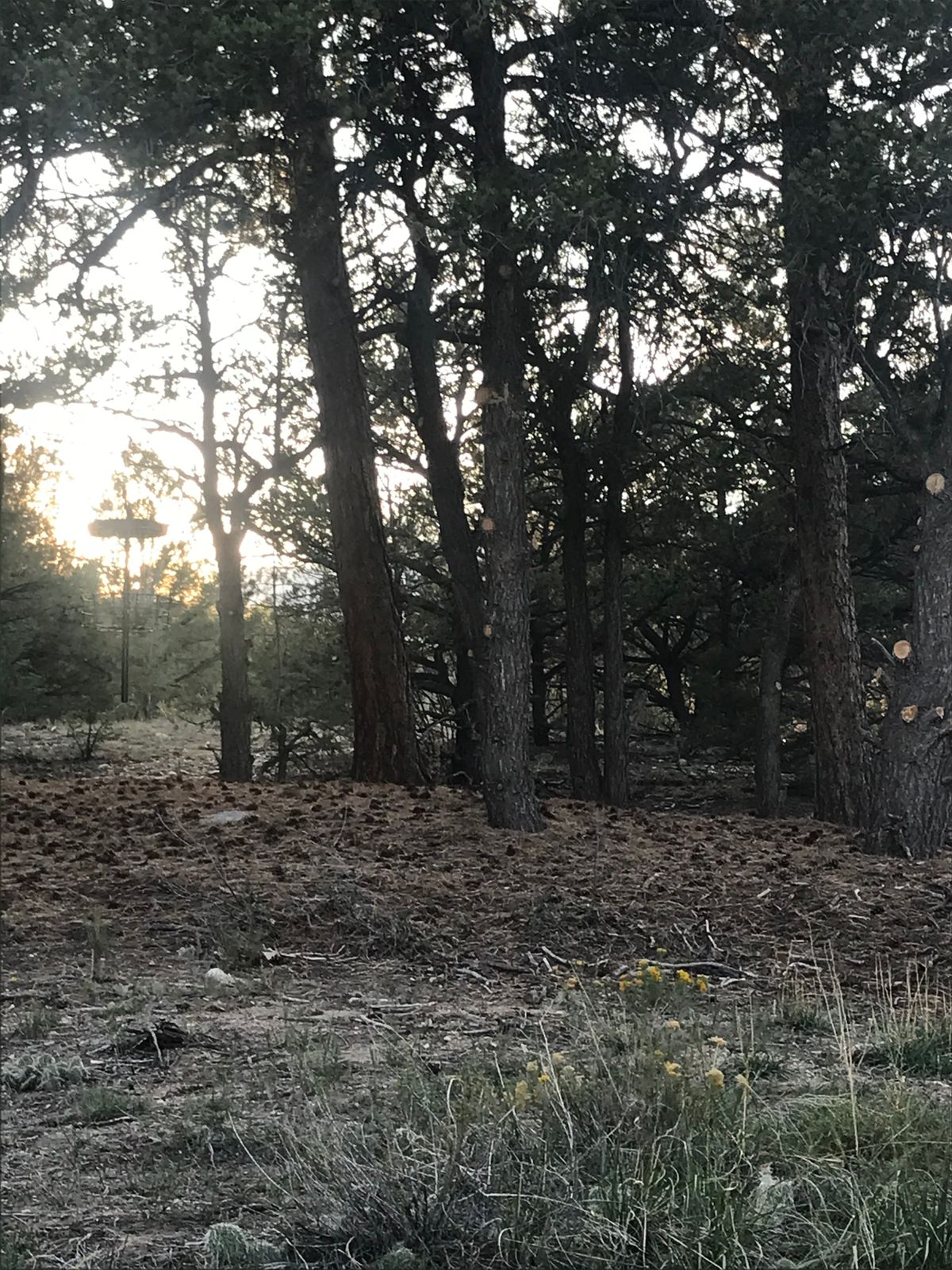 Coyote Valley