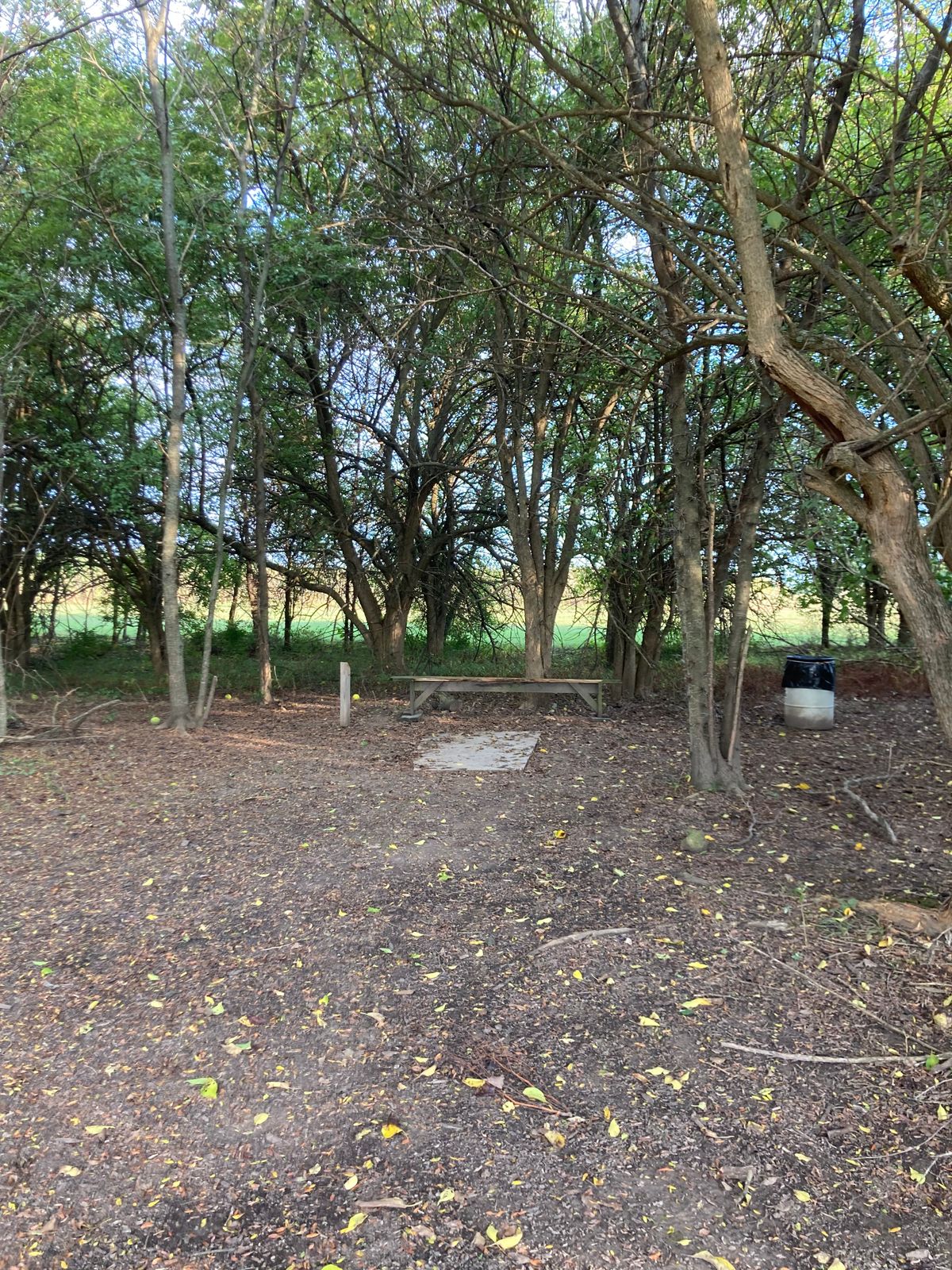 Tee 4