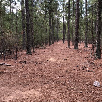 Hole 2