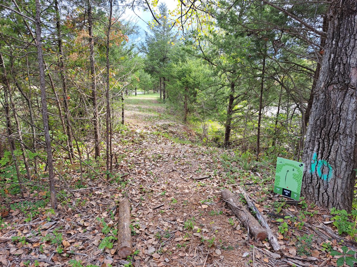 Hole 10