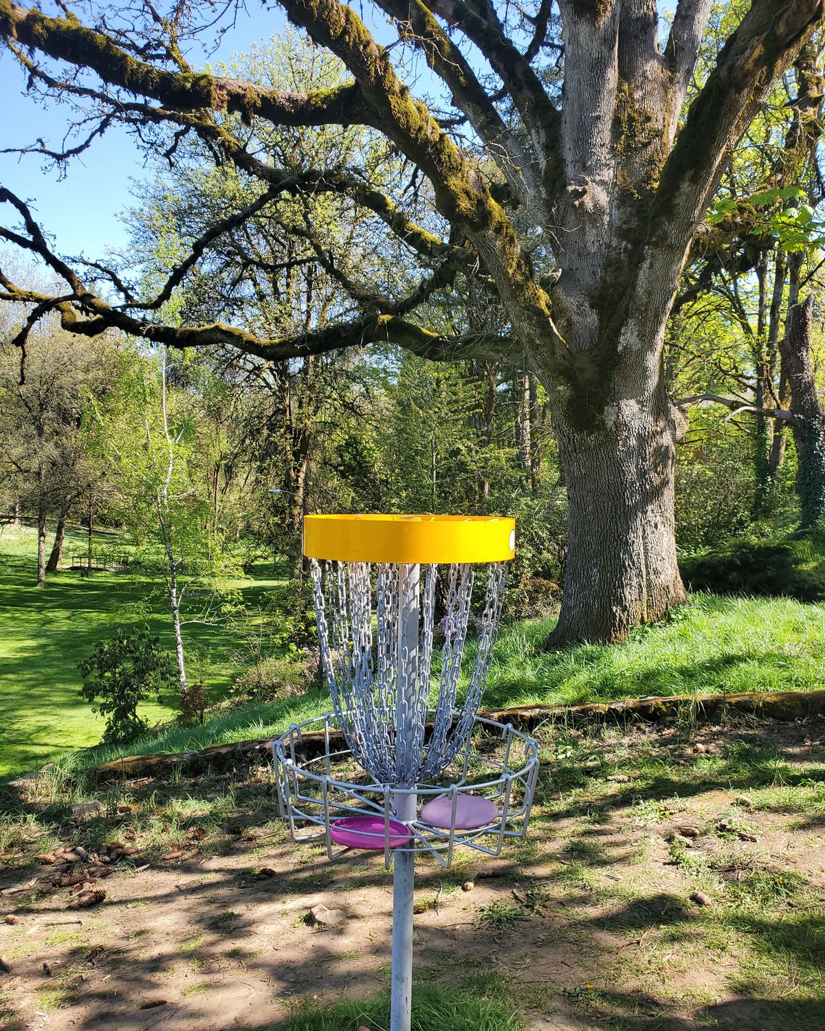 Hole 9 Herbert Hoover DGC