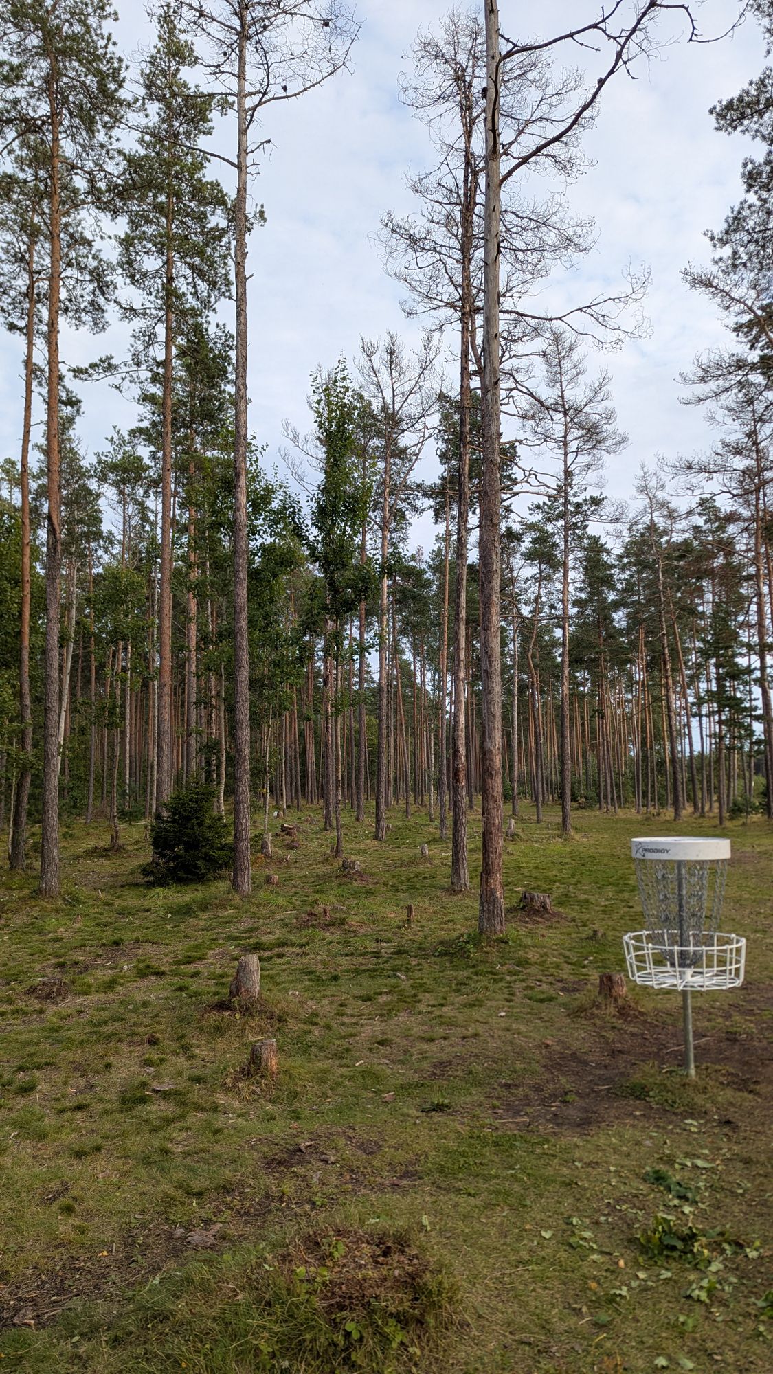 Hole 7 basket looking back at the teepads. One of the hardest holes on the course.