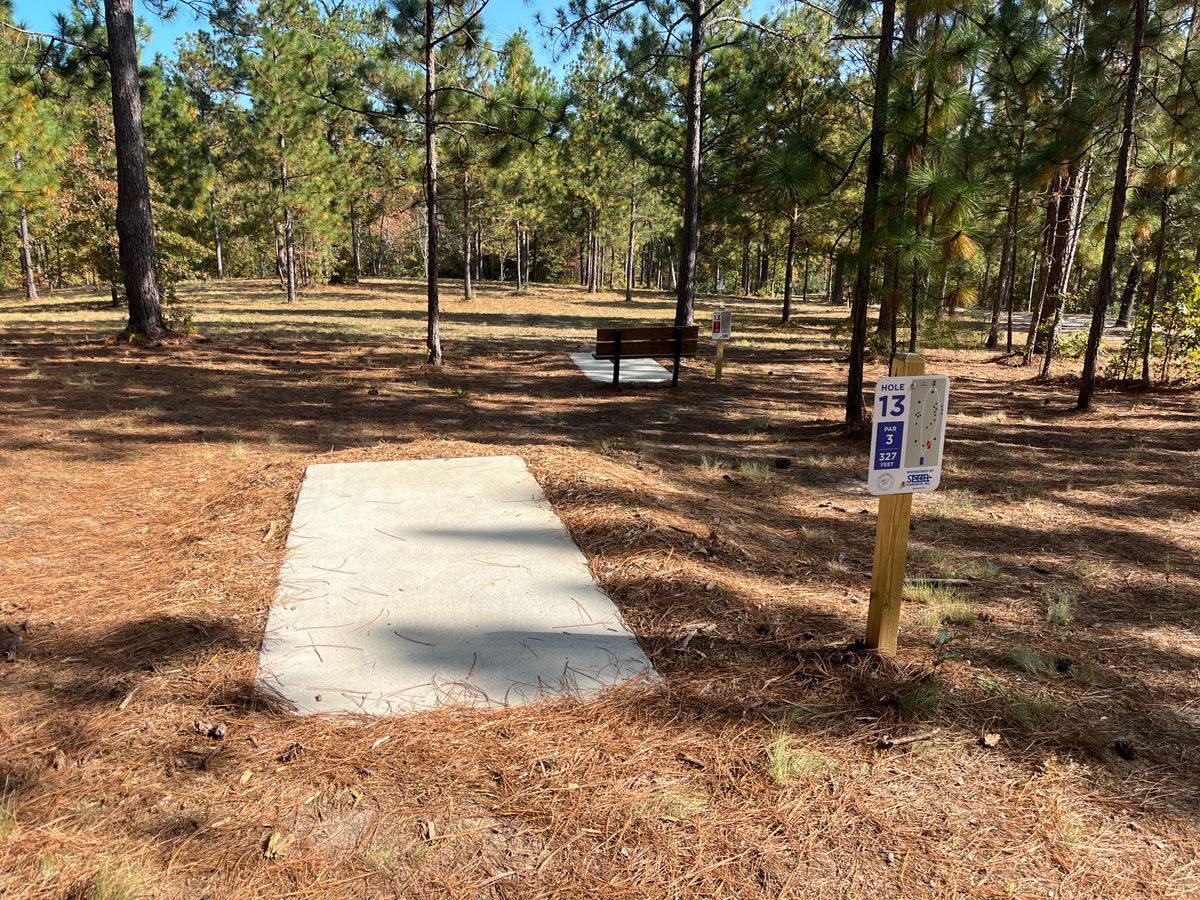 Hole 13 tee