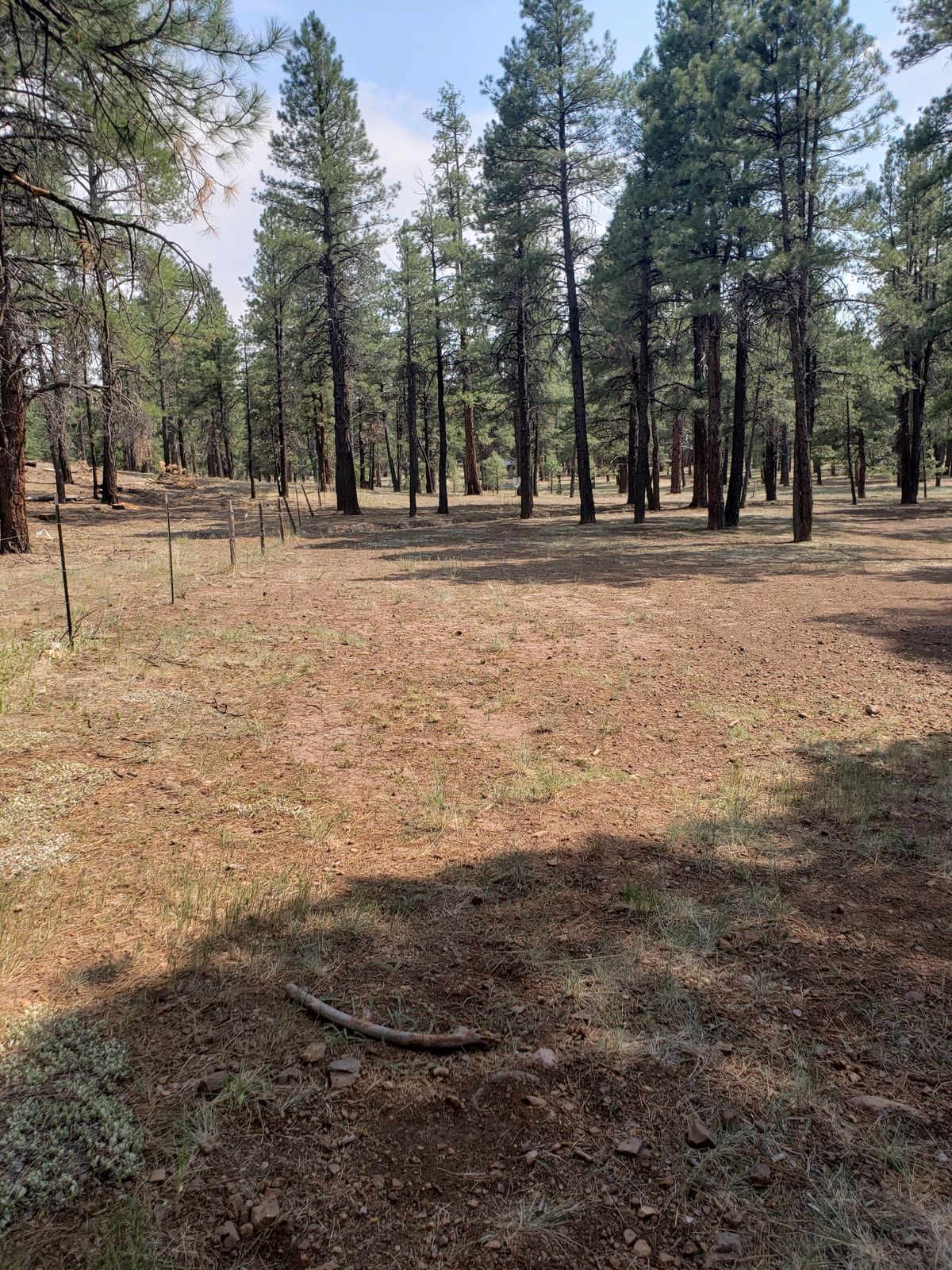 Hole 3 Tee