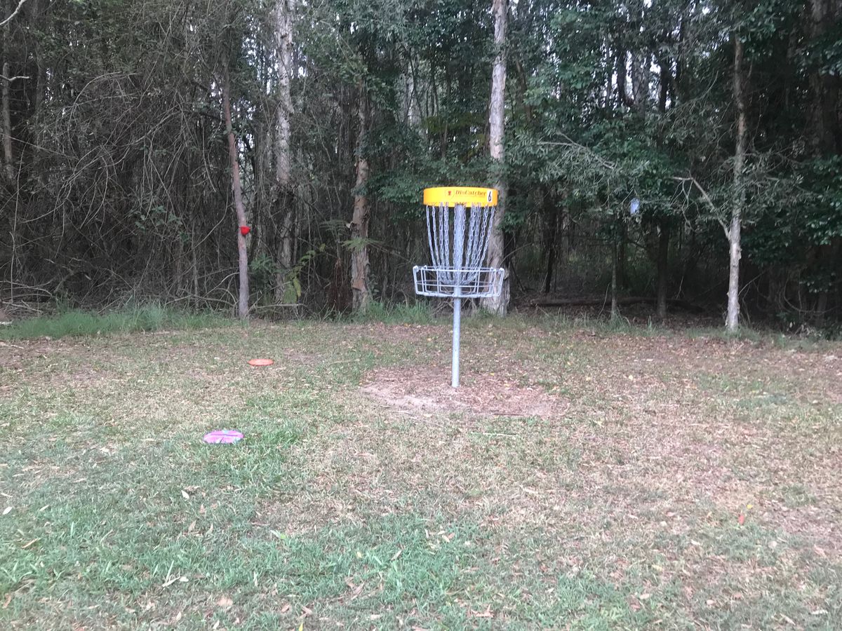 Hole 6 koala park