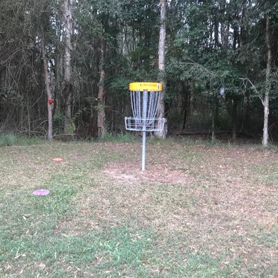 Hole 6 koala park