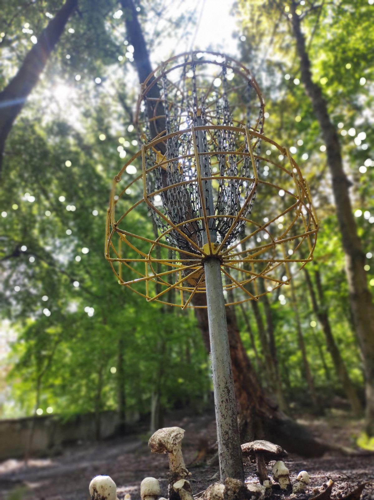 11th hole basket