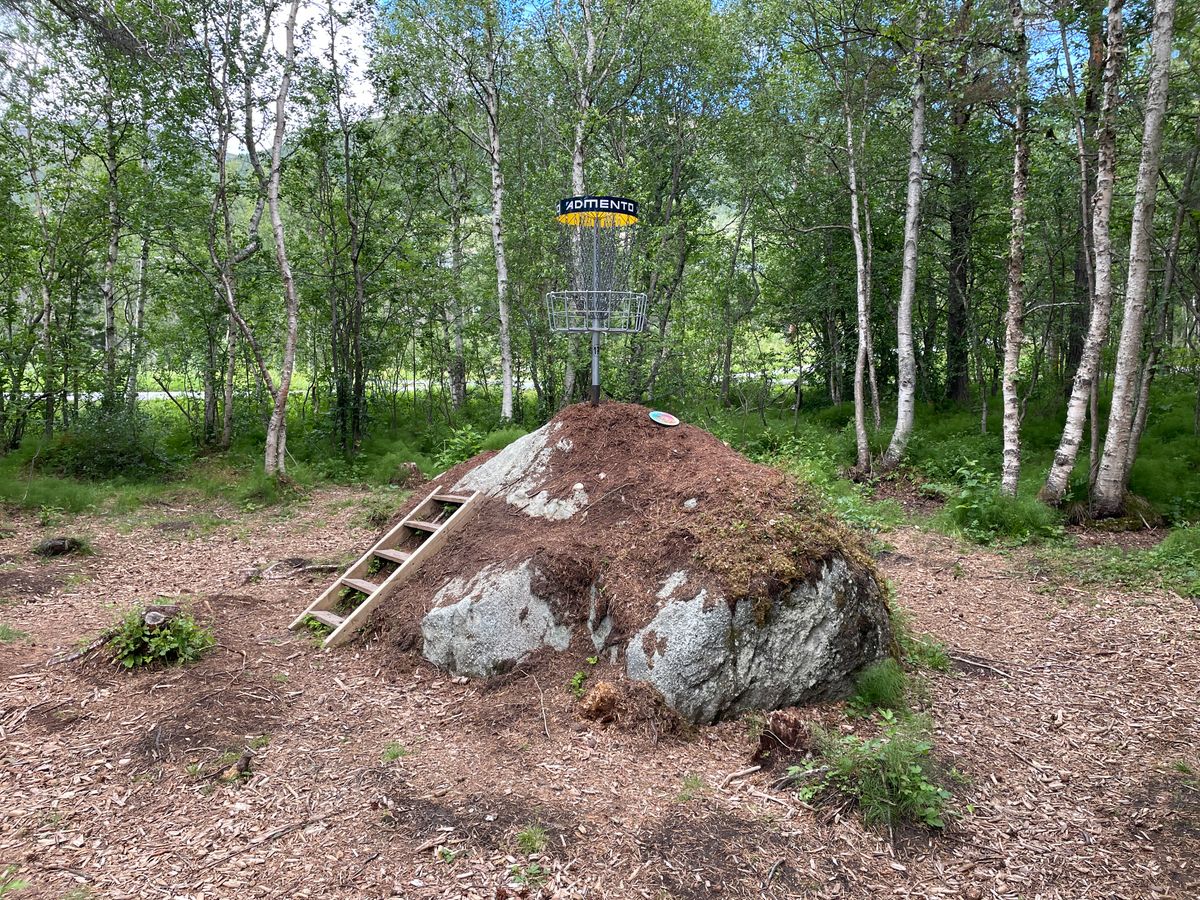 Elevated basket on 17