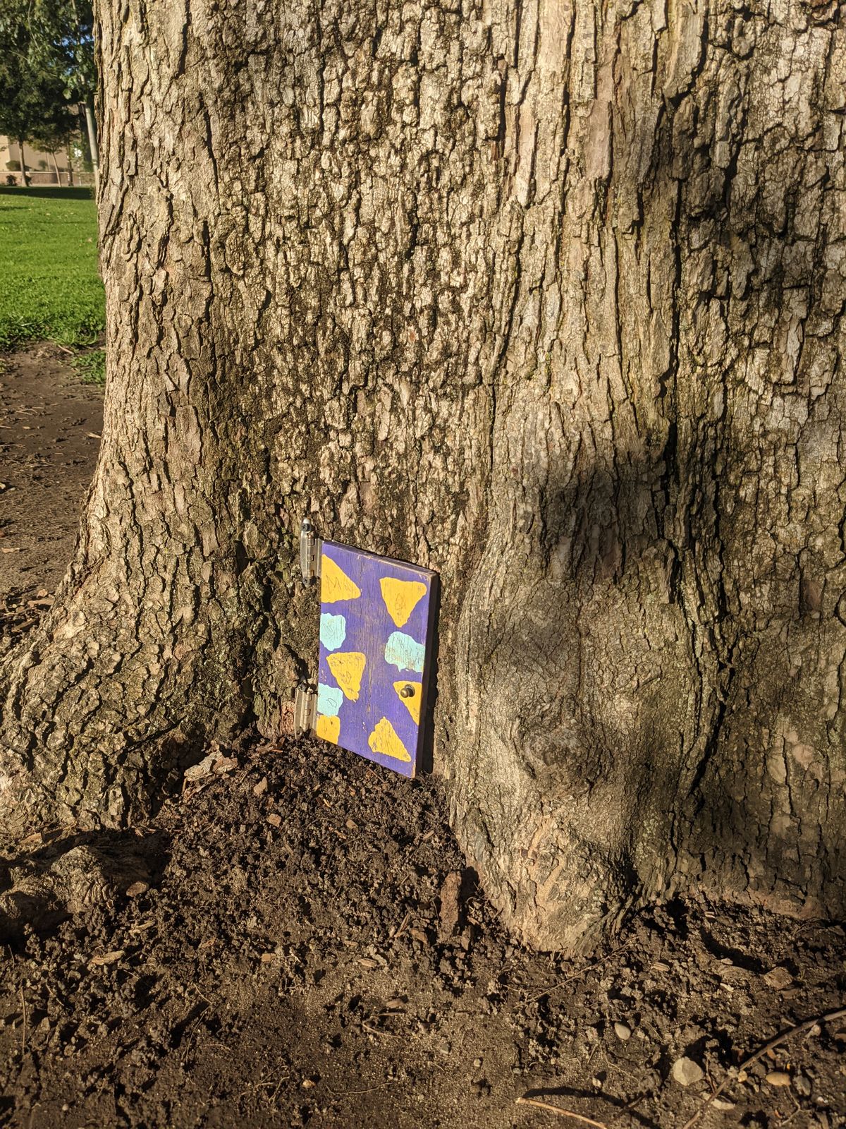 Little squirrel doors around some of the trees on the course