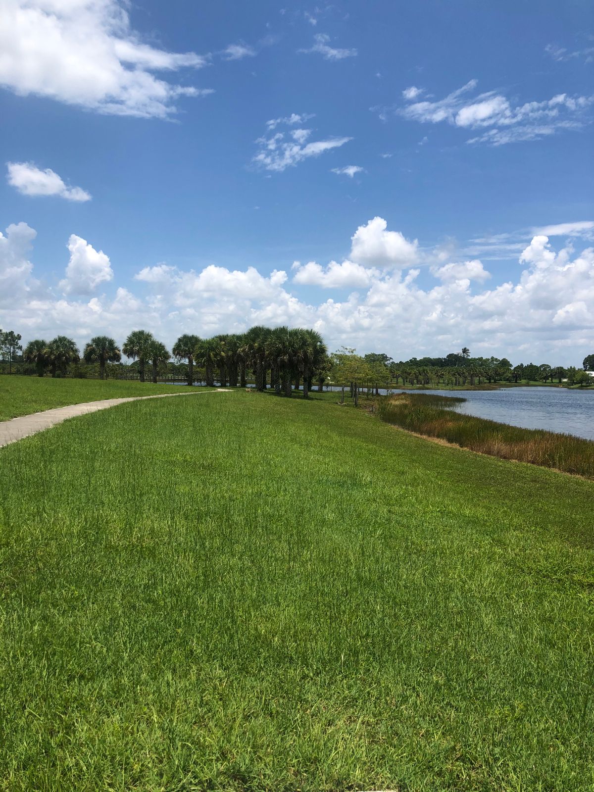 Hole 8