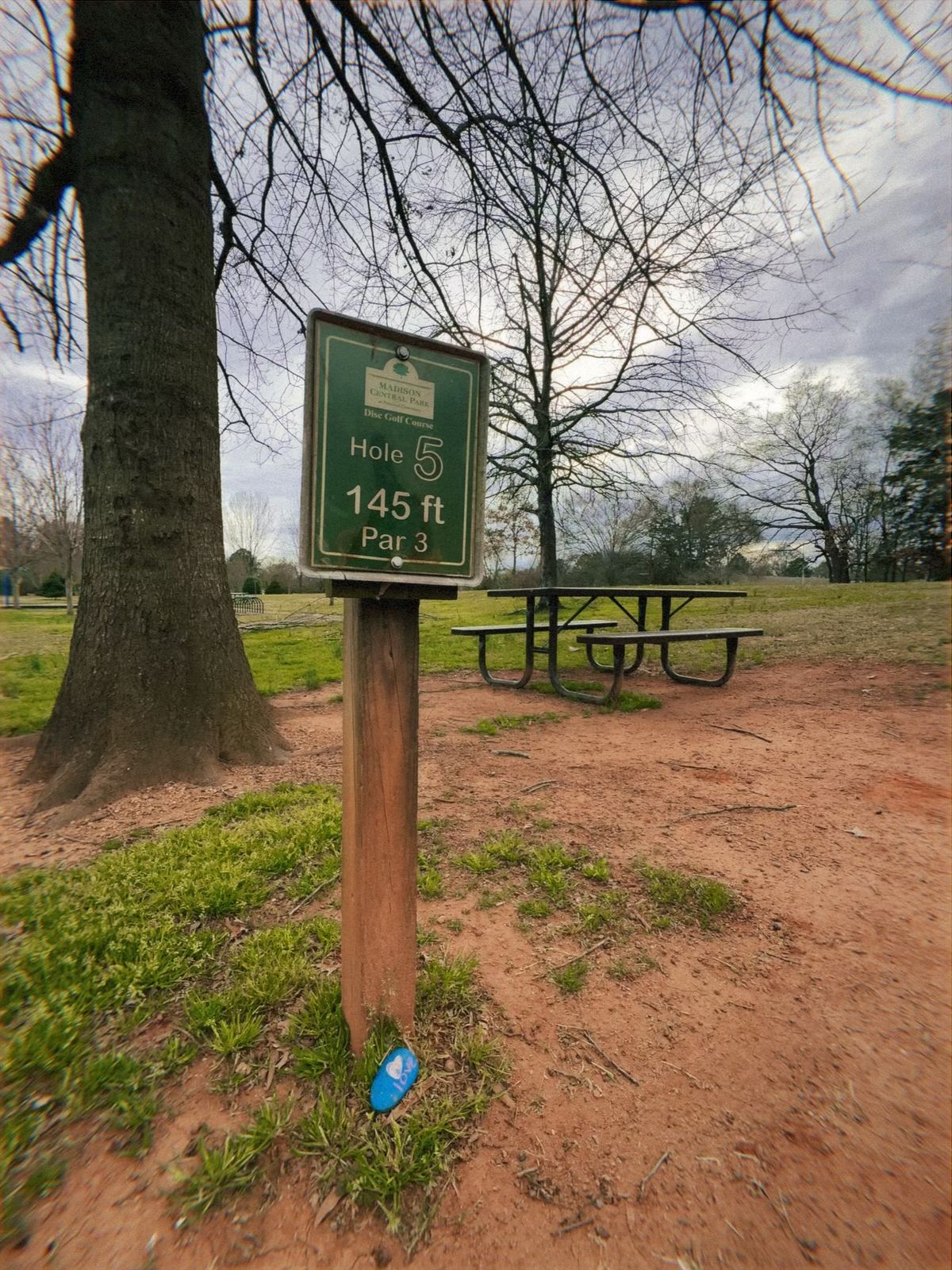 Hole 5 tee