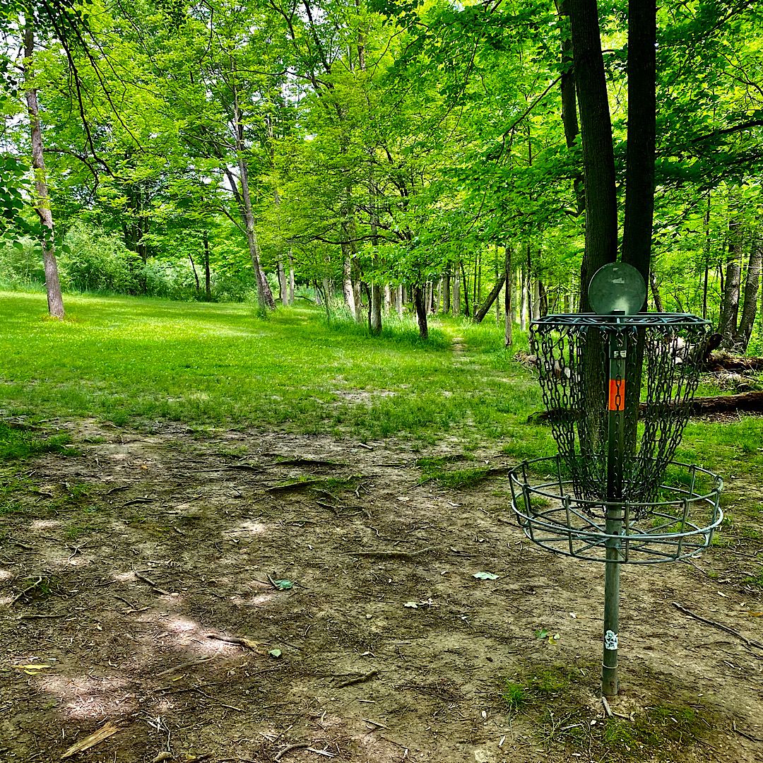 Hole #2 Basket to Tee